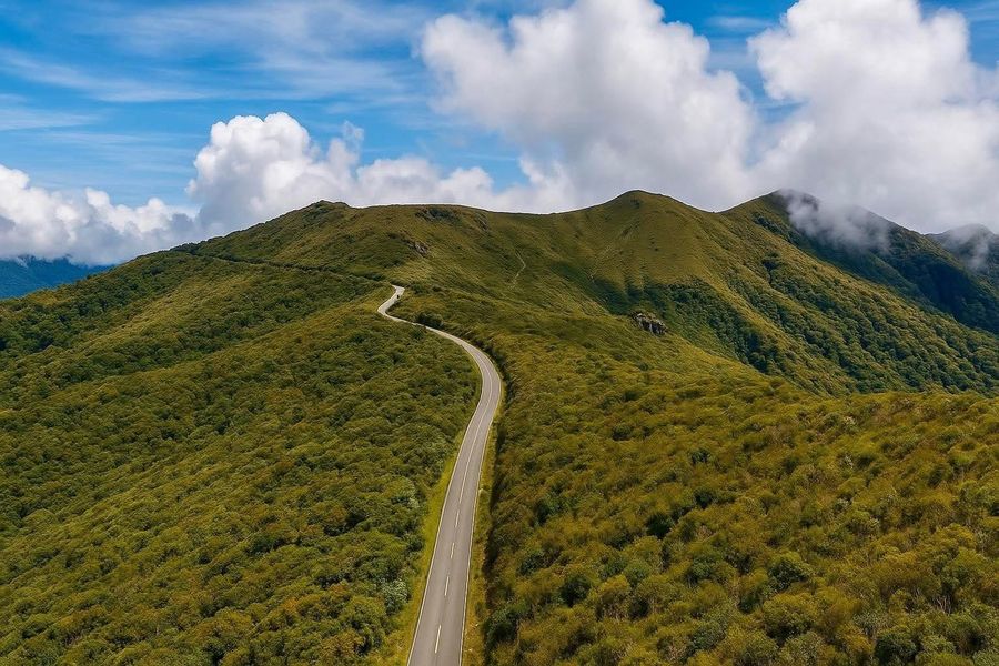 Green mountain road at Cerro de la Muerte