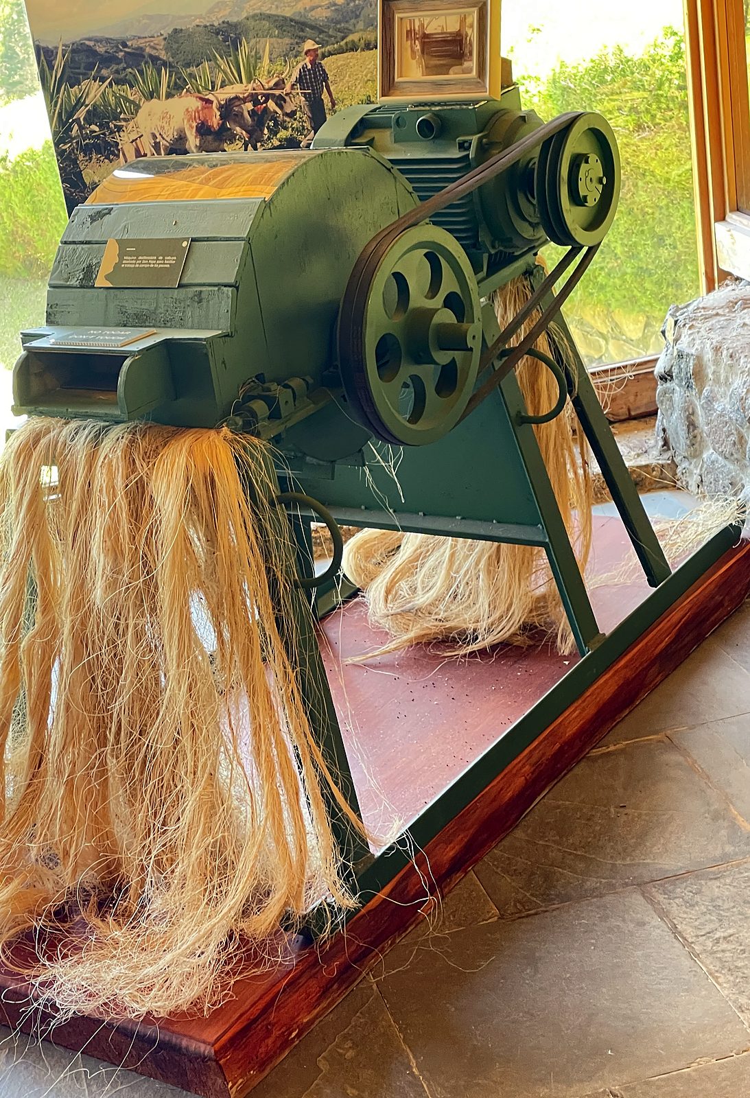 The green machine Don Pepe invented to process fiber, at Finca La Lucha