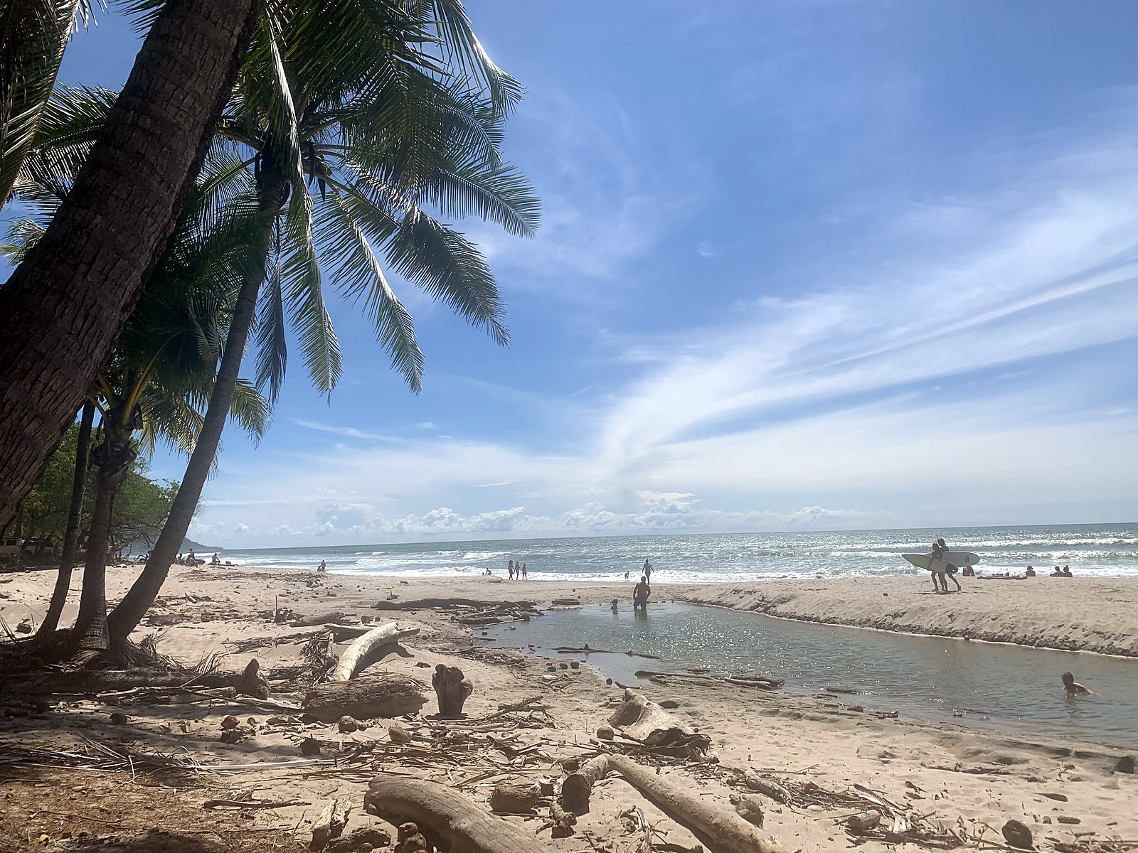 Palm trees and a calm beach on the Nicoya Peninsula