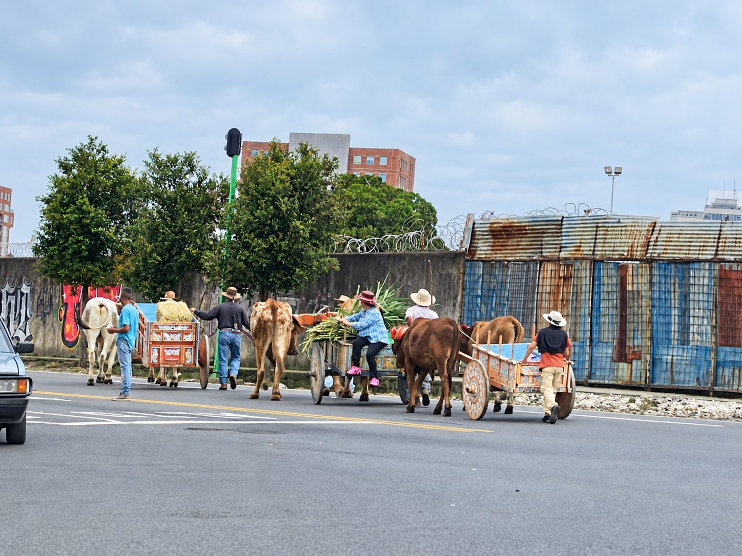 Traditional ox carts on a street in San José, Costa Rica