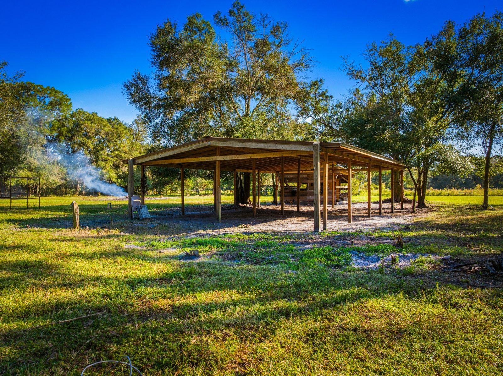 Open pasture with big oak trees and a pole barn in Florida