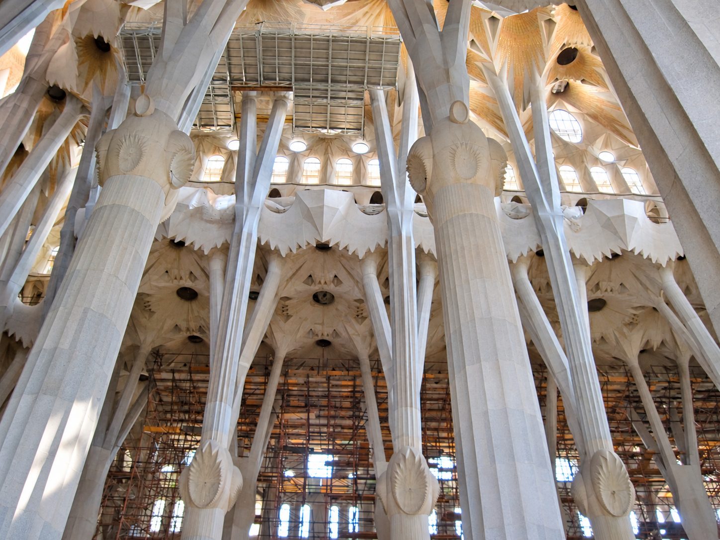 The tall tree-like columns inside the Sagrada Família
