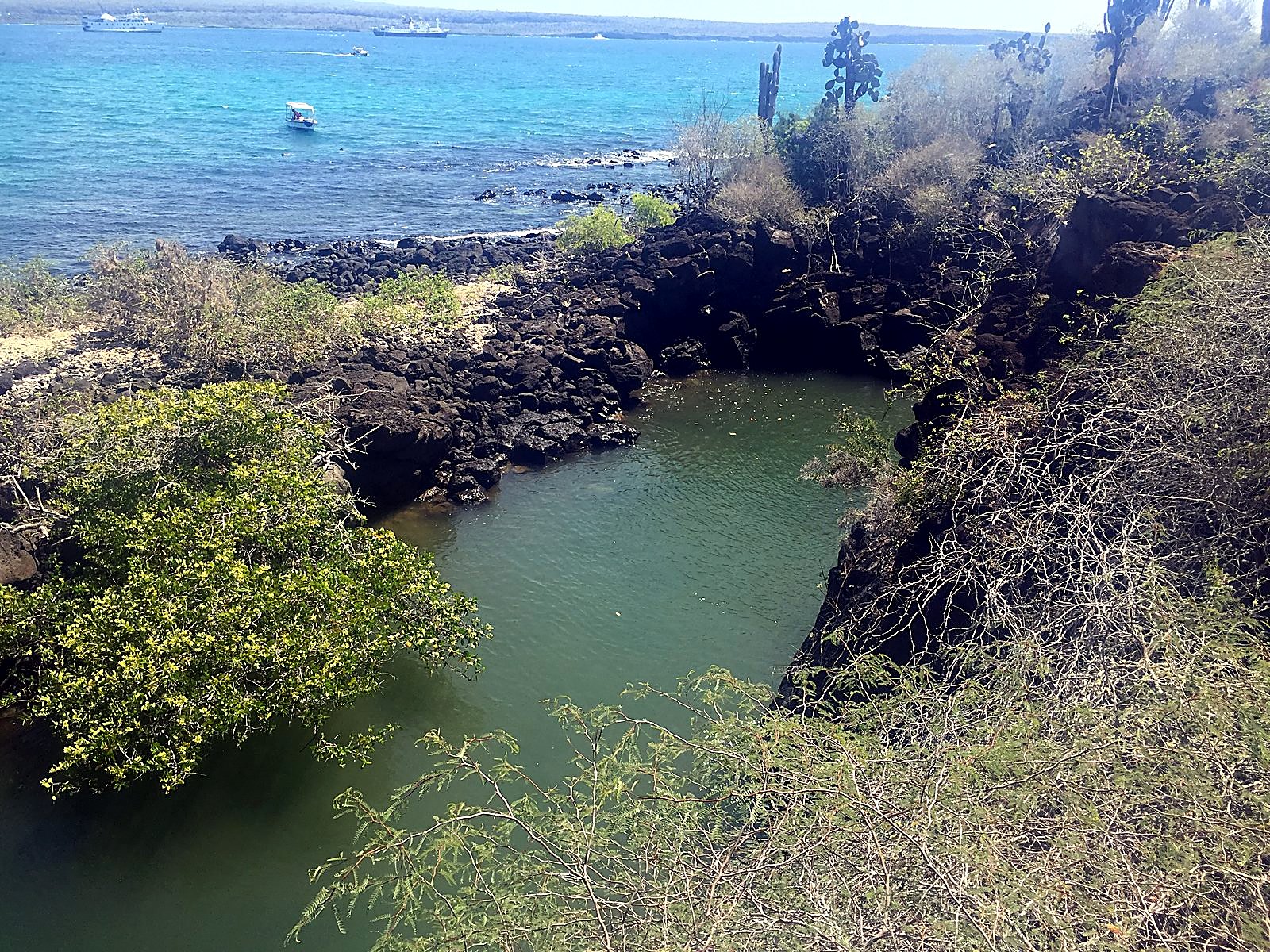 The Canal de las Tintoreras, a lava pool in the Galápagos where sharks rest