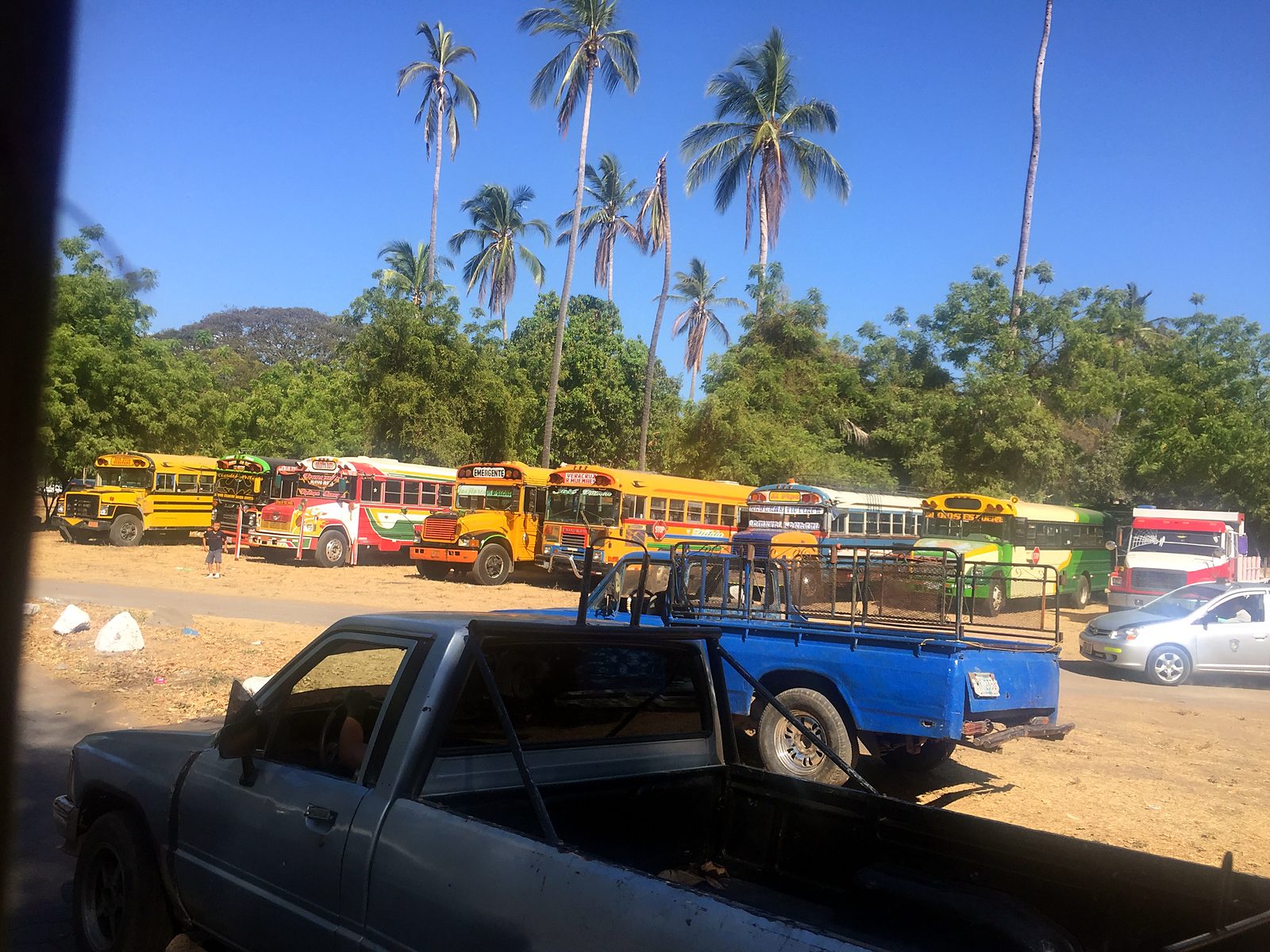 Colorful buses parked under palm trees in Nicaragua