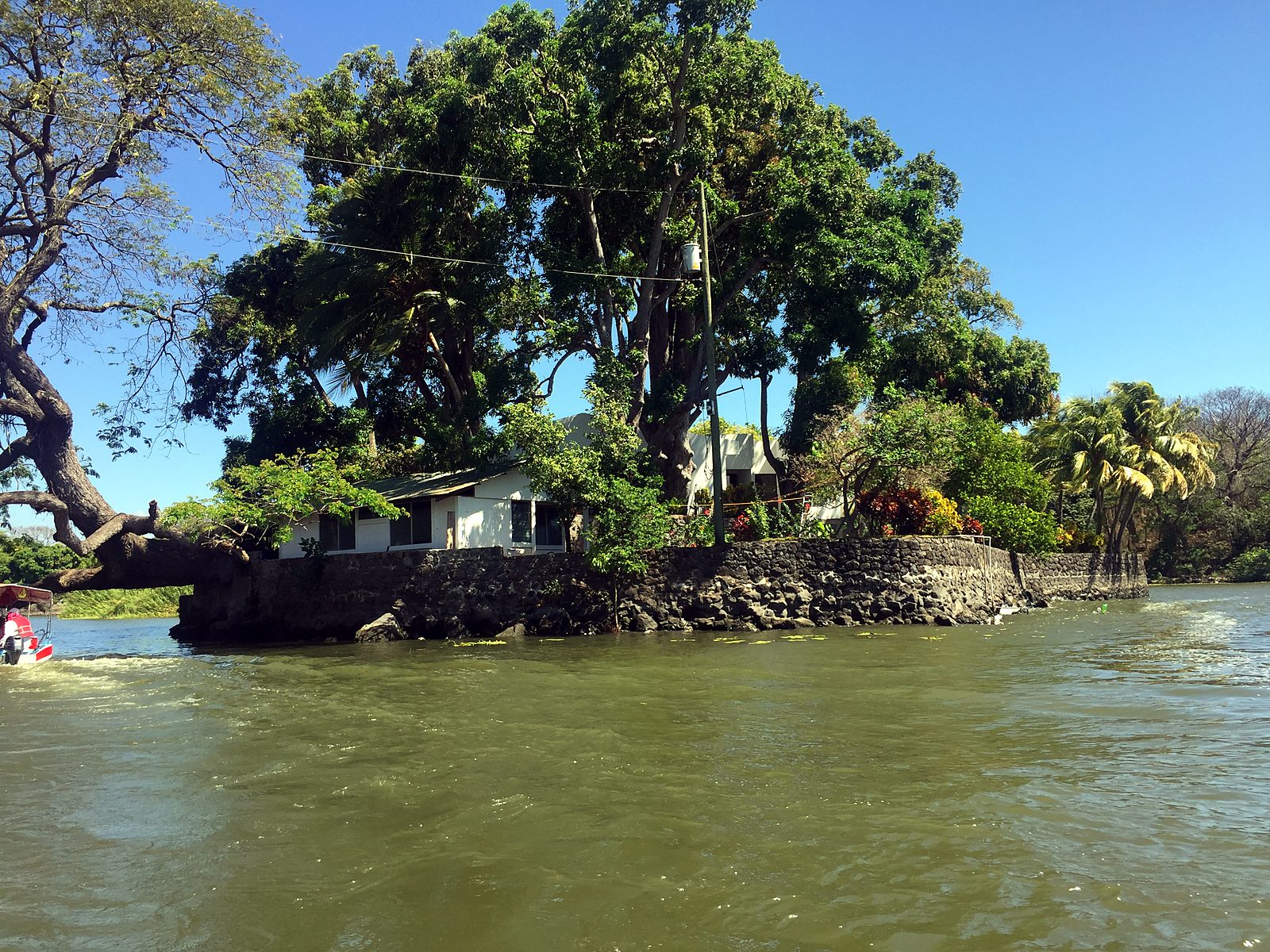 A small island with big trees on Lake Nicaragua, near Granada