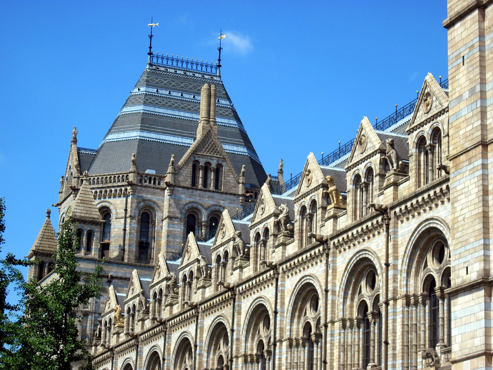 The Natural History Museum in London