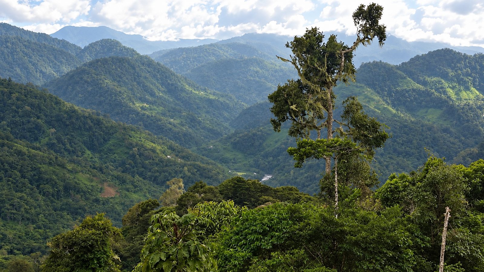 Green mountains on the Turrialba land in Costa Rica
