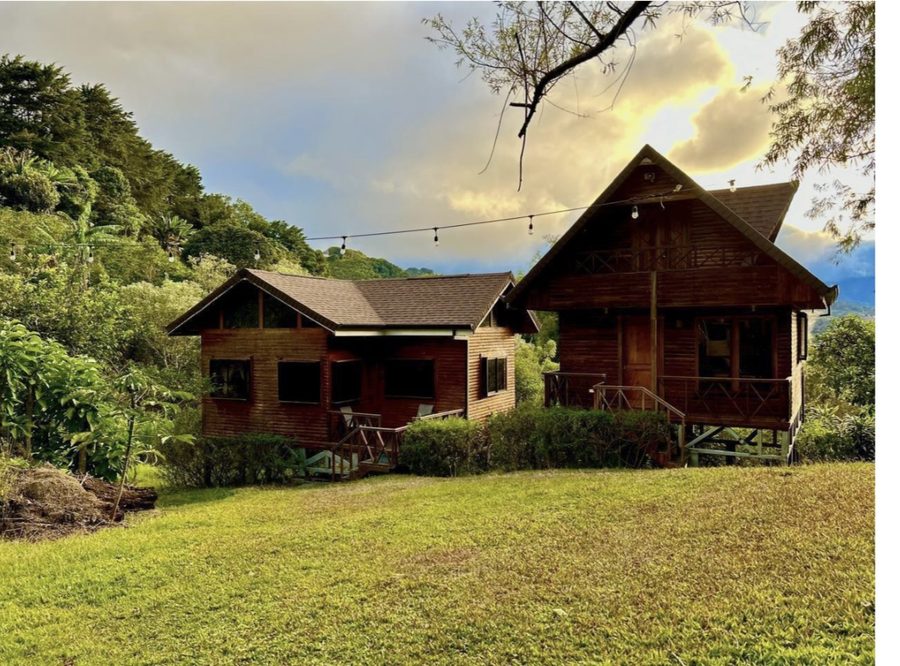 Cabins on green grass