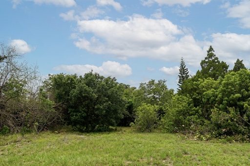 The land seen from the edge of the lot