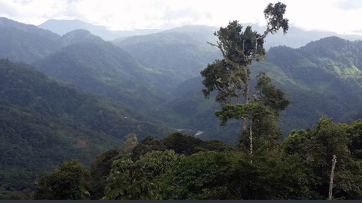 Misty mountain valleys seen from the land